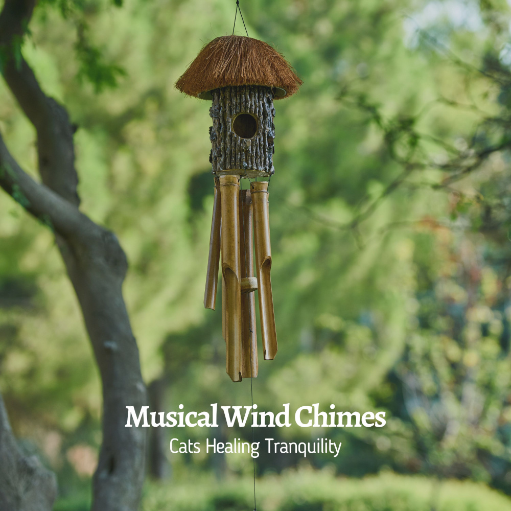 Wind Whisperers