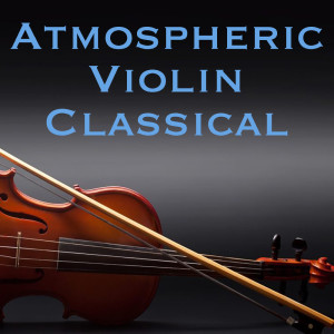 Listen to Brahms Concerto for Violin Violoncello and Orchestra, Op 102, 2 song with lyrics from The St Petra Russian Symphony Orchestra