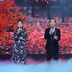 Album Mưa Qua Phố Vắng from Hồng Thắm