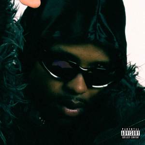 ดาวน์โหลดและฟังเพลง Slide (Explicit) พร้อมเนื้อเพลงจาก Don Macfly