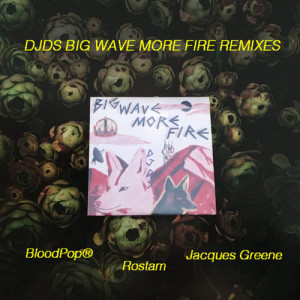 DJDS的專輯Big Wave More Fire