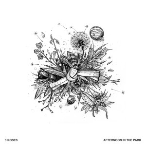 收聽3 Roses的Afternoon In The Park歌詞歌曲