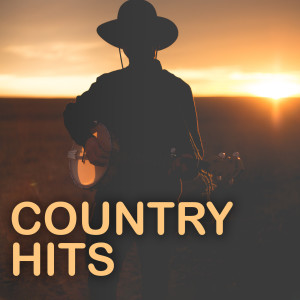 Various的專輯Country Hits (Explicit)