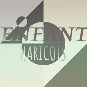收听Cande Bola的Enfant Haricots歌词歌曲
