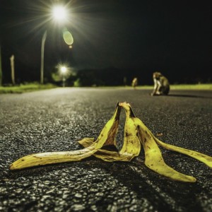 Dengarkan lagu monkey business (feat. DJ.DAI|Explicit) nyanyian 咎メル dengan lirik