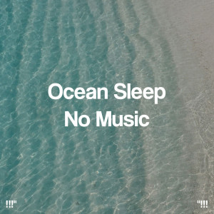 Album !!!" Ocean Sleep No Music "!!! from Ocean Sounds