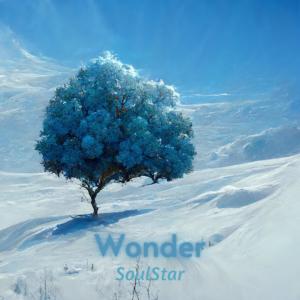 Soulstar的专辑Wonder