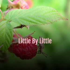 Listen to Little by Little song with lyrics from Red Nichols & His Five Pennies
