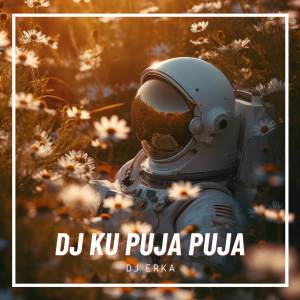 DJ ERKA的专辑DJ SUNGGUH KU TERPURUK DALAM LAMUNAN FULL BASS