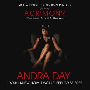 收聽Andra Day的I Wish I Knew How It Would Feel to Be Free (From Tyler Perry's "Acrimony")歌詞歌曲