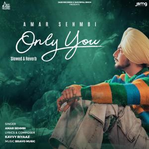 Listen to Only You (Slowed & Reverb) song with lyrics from Amar Sehmbi