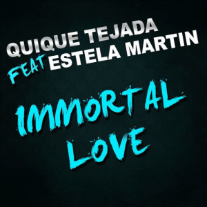 ดาวน์โหลดและฟังเพลง Immortal Love (Radio Edit) พร้อมเนื้อเพลงจาก Quique Tejada