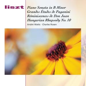 收聽Andre Watts的Grandes Études de Paganini, S. 141: No. 2 in E-Flat Major -  Andante - Andantino capriccioso (1850 Version)歌詞歌曲