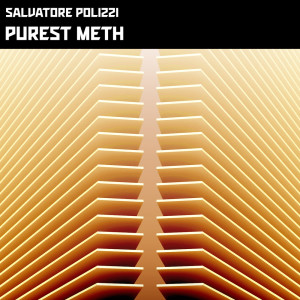 收聽Salvatore Polizzi的Purest Meth歌詞歌曲