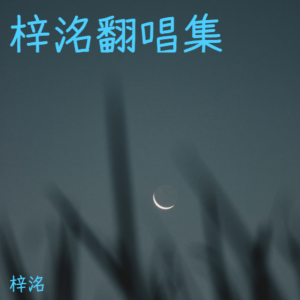 Listen to 美丽谎言 (cover: 都智文) (完整版) song with lyrics from 梓洺