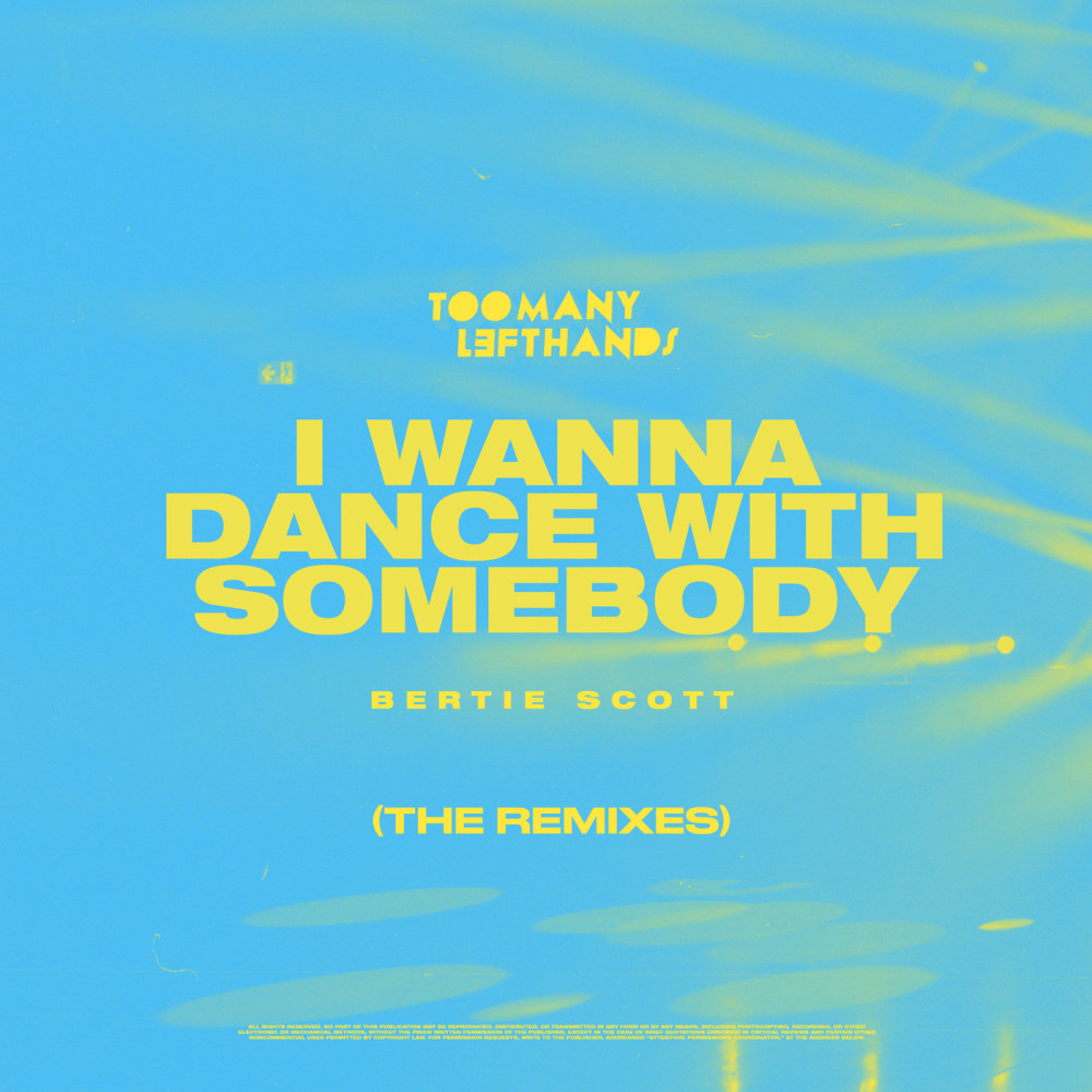 I Wanna Dance with Somebody (Rayet Remix)