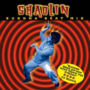 ดาวน์โหลดและฟังเพลง Don't Think Feel พร้อมเนื้อเพลงจาก DJ Paul Nice