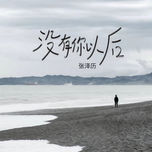 Listen to 没有你以后 song with lyrics from 张泽历
