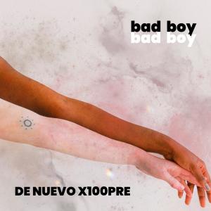 Dengarkan De Nuevo X100PRE lagu dari Bad Boy dengan lirik