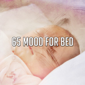 Listen to Focus on Sleeping song with lyrics from SPA