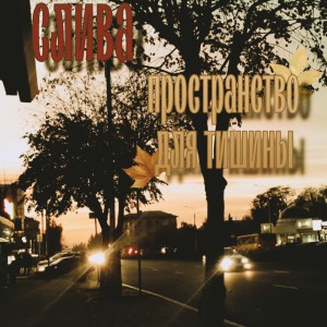 Listen to Бомба song with lyrics from Слива