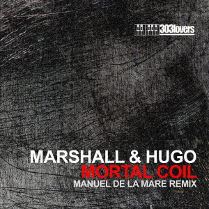 ดาวน์โหลดและฟังเพลง Mortal Coil (Manuel de la Mare remix) พร้อมเนื้อเพลงจาก Hugo