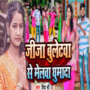 收聽Priya Shree的Jija Buletwa Se Melwa Ghumada歌詞歌曲