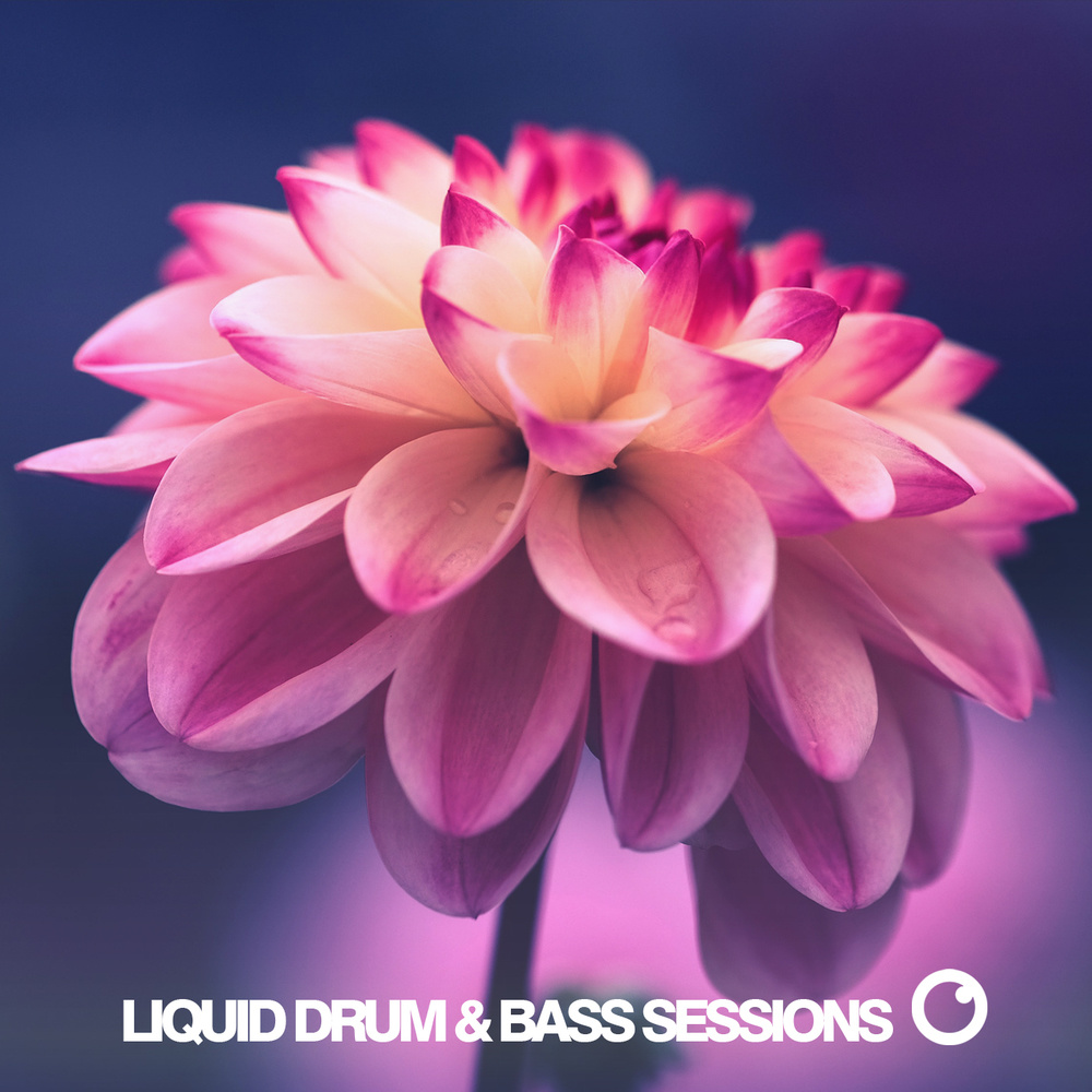Ghost Assassin (Original Mix)