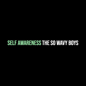 收听The So Wavy Boys的Self Awareness (Explicit)歌词歌曲