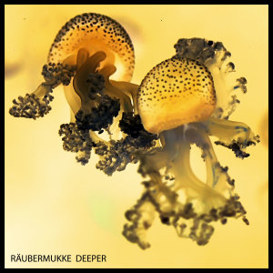 收聽Räubermukke的Fly歌詞歌曲