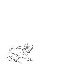 Teddy Abrams的專輯Bull Frogs Croon (Instrumental)