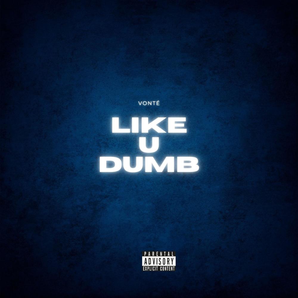 Like U Dumb (Explicit)