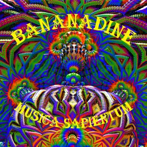 Album Assassins of Truth from Bananadine