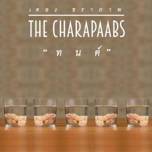 收聽The Charapaabs的ทนต์ (Tooth and Truth)歌詞歌曲