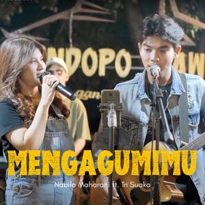 Nabila Maharani的专辑Mengagumimu (Live Ngamen)