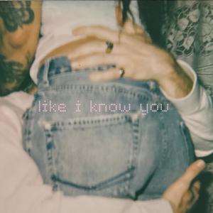 อัลบัม like i know you ศิลปิน PERARNAU IV
