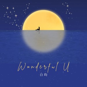 Listen to Wonderful U (cover: AGA) (完整版) song with lyrics from 血小板菌