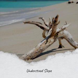 Listen to Faa Faa song with lyrics from Liney Jeffin