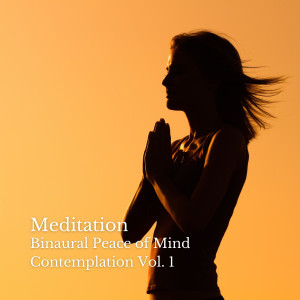อัลบัม Meditation: Binaural Peace of Mind Contemplation Vol. 1 ศิลปิน Binaural Bob
