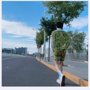 Album 情歌手 from 丁炜