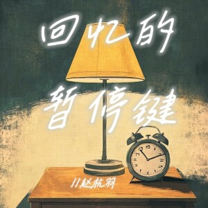Album 回忆的暂停键 from 