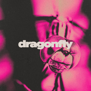 Album Dragonfly oleh ColorFire