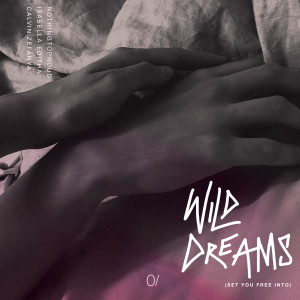 Listen to Wild Dreams (Set You Free Into) song with lyrics from nothingtoproud