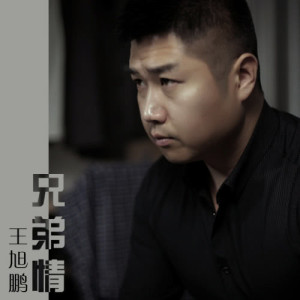 Listen to Xiong Di Qing (升级版) song with lyrics from 王旭鹏