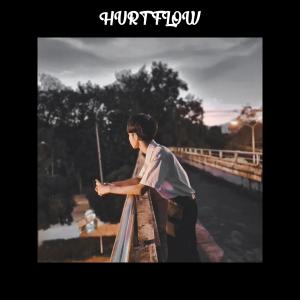 Album พูดเป็นร้อย (Explicit) from HURT FLOW