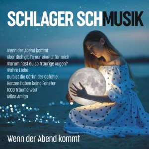 ดาวน์โหลดและฟังเพลง Du entschuldige i kenn' di พร้อมเนื้อเพลงจาก Bernhard Brink