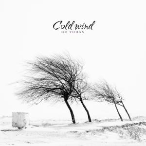 Ko Yohan的专辑Cold wind