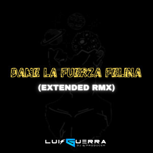 收聽Dj Luis Guerra的Dame la Fuerza Felina (Extended Remix)歌詞歌曲