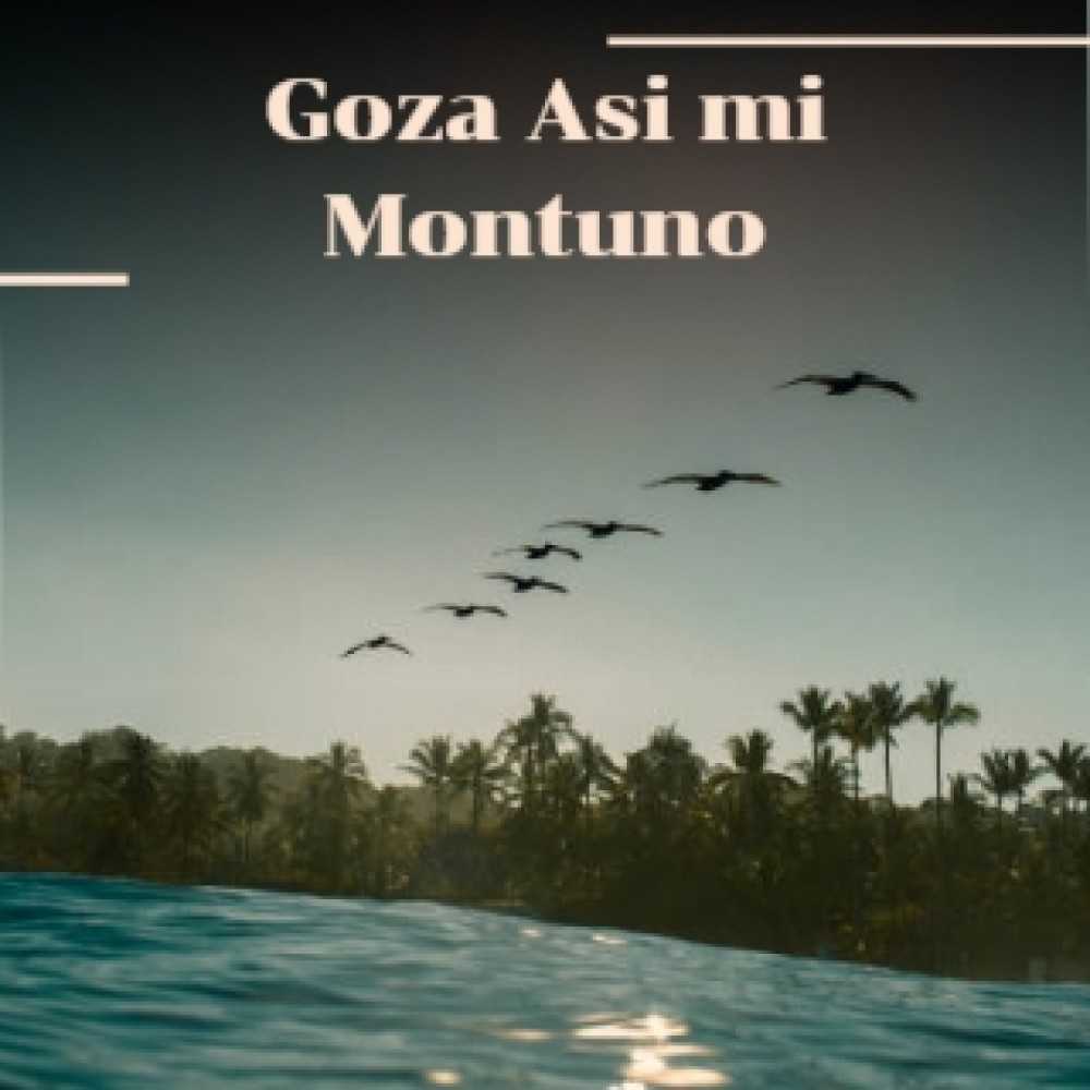 Goza Asi Mi Montuno