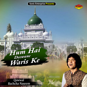 Listen to Hum Hai Deewane Waris Ke (Islamic) song with lyrics from Anis Sabri